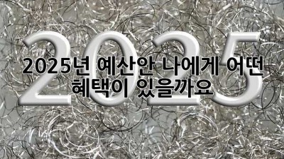 2025년 예산안, 나에게 어떤 혜택이 있을까요?