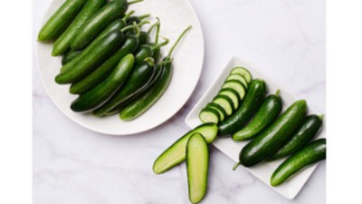 아삭함 폭발! 클로렐라미니오이 후기🥒 (특가정보)